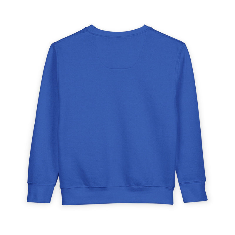 Humble Kyd Toddler Sweatshirt – Kids Graphic Crewneck