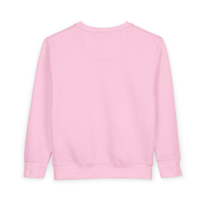 Humble Kyd Toddler Sweatshirt – Kids Graphic Crewneck