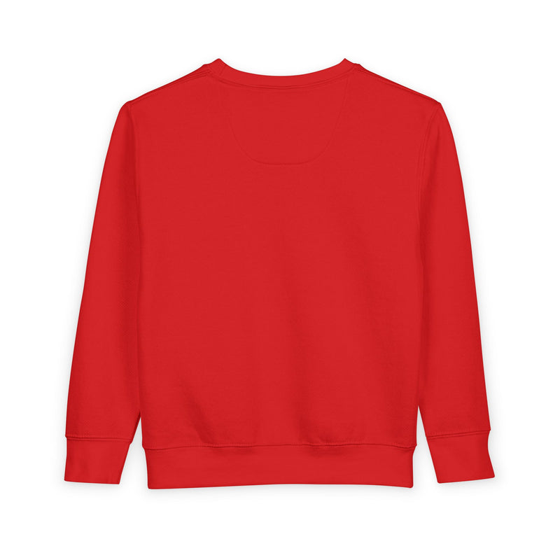 Humble Kyd Toddler Sweatshirt – Kids Graphic Crewneck
