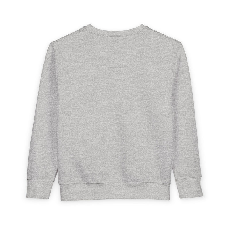 Humble Kyd Toddler Sweatshirt – Kids Graphic Crewneck