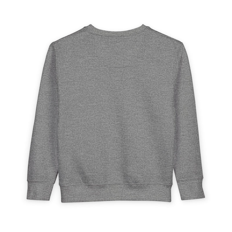 Humble Kyd Toddler Sweatshirt – Kids Graphic Crewneck
